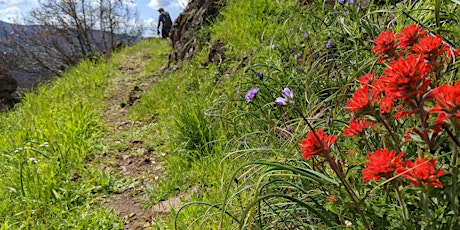 Spring Wellness Walk