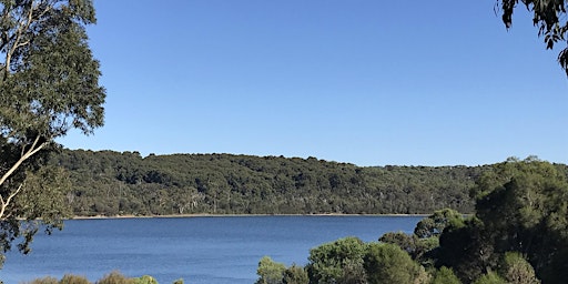 Lysterfield Lake East West  Hike on the 10th of June, 2024  primärbild