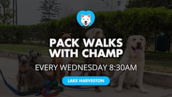 Imagem principal do evento Dog Pack Walks Every Wednesday