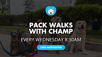 Dog Pack Walks Every Wednesday