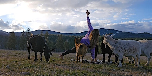 Imagem principal do evento Mother's Day GOAT YOGA on the FARM