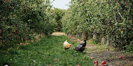 Carbon Farming - Modern Farming Workshop