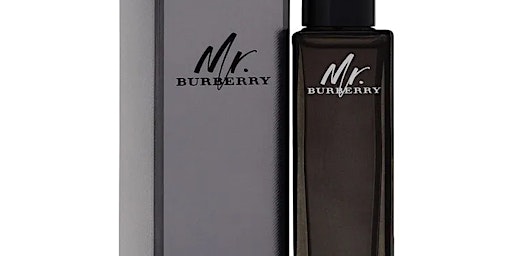Elevate Your Fragrance Mr Burberry Perfume primary image