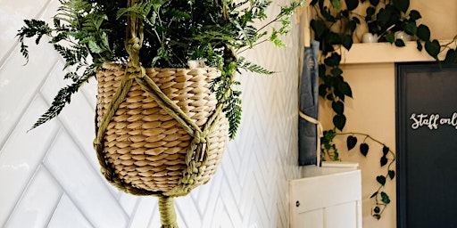 Image principale de Macrame Plant Hanger Workshop