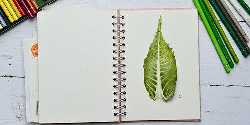 Image principale de Learn to Draw from Nature