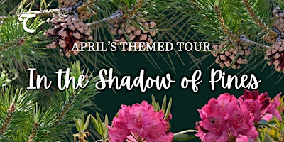 Themed+Tour%3A+In+the+Shadow+of+Pines