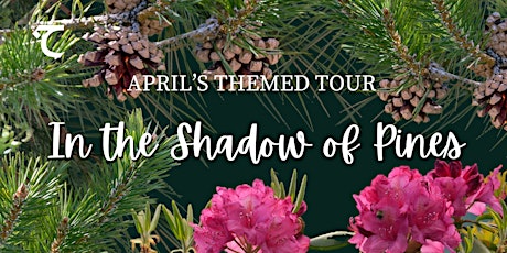 Themed Tour: In the Shadow of Pines