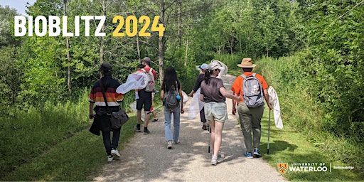 Hauptbild für BioBlitz 2024