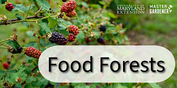 Food Forests