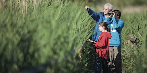 Primaire afbeelding van Birds, Bugs and Binoculars