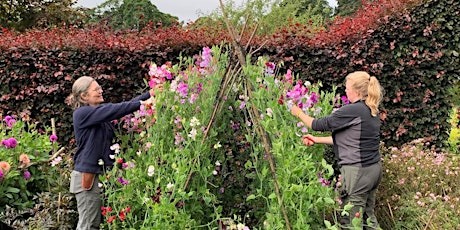 Castle Fraser's Gardening Club