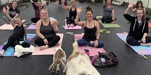 Hauptbild für Greenhouse Goat Yoga '24