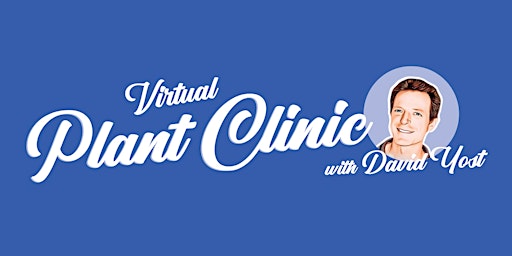 Imagem principal do evento Virtual Plant Clinic