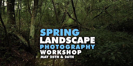 Primaire afbeelding van Spring Landscape Photography Workshop