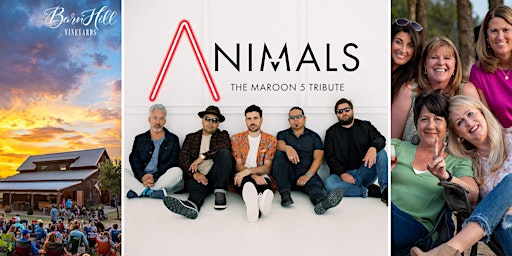 Maroon 5 covered by Animals / Texas wine / Anna, TX primary image
