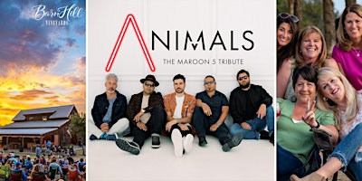 Primaire afbeelding van Maroon 5 covered by Animals / Texas wine / Anna, TX