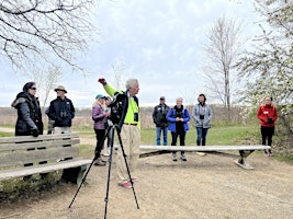 Great Meadows, Spring Arrivals, and Optics - April  27th primary image