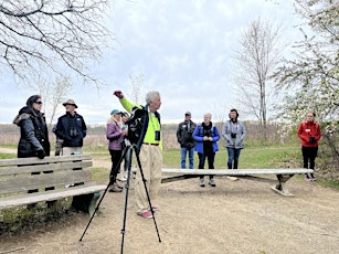 Great Meadows, Spring Arrivals, and Optics - April  27th