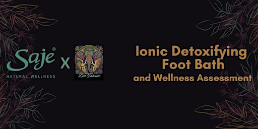 Saje Wellness x Zen Essence Ionic Detoxifying Foot Bath  primärbild