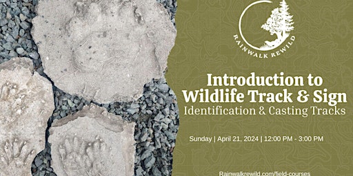 Imagen principal de Introduction to Wildlife Track & Sign