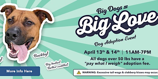 Adoption Event: Big Dogs = Big Love! primary image