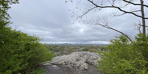 Imagem principal do evento Trek the Trails at Bellevue Pond