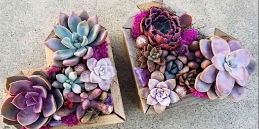 Imagen principal de Mother's Day Wooden Heart Succulent Workshop