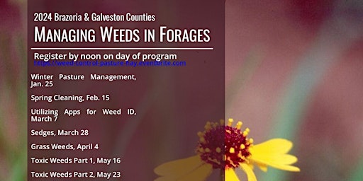 Imagen principal de Weed Control in Forages, On-line Series by Brazoria & Galveston 2024