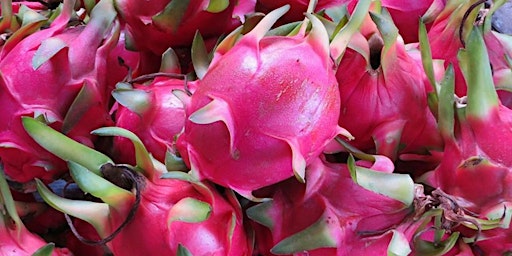 Growing Tropical Fruit Indoors primary image