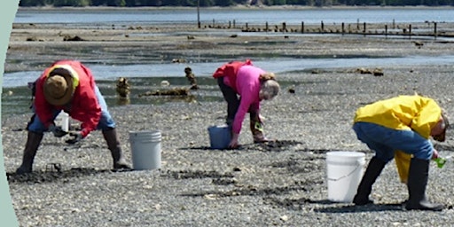 Primaire afbeelding van Digging for Dinner