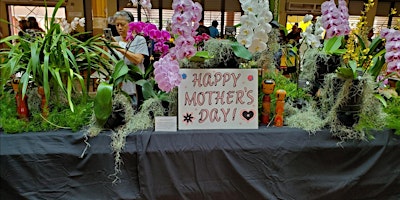 Mililani Orchid Club Mother's Day  Plant and Craft Fair primary image