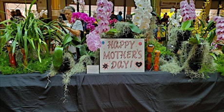 Mililani Orchid Club Mother's Day  Plant and Craft Fair