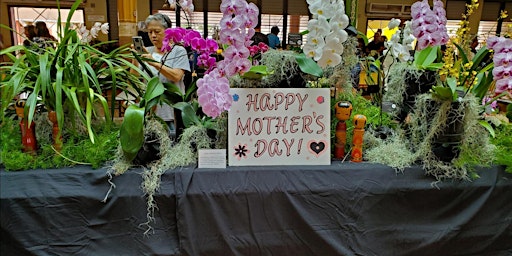 Hauptbild für Mililani Orchid Club Mother's Day  Plant and Craft Fair