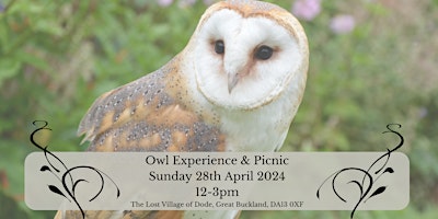Imagem principal do evento Owl Experience & Picnic with The Kent Owl Academy