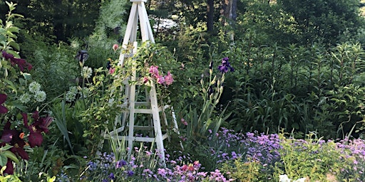 Primaire afbeelding van ColorBlock Garden Design with Elizabeth Dudley: New England Perennials