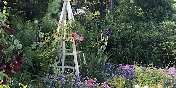 ColorBlock Garden Design with Elizabeth Dudley: Native Perennials & Shrubs