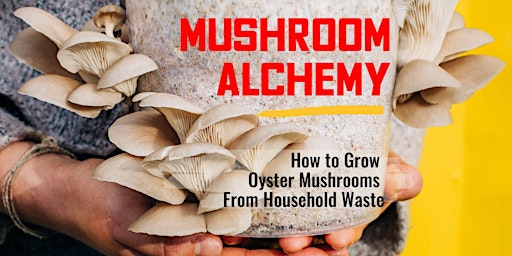 Mushroom Alchemy: How To Grow Oyster Mushrooms From Household Waste primary image