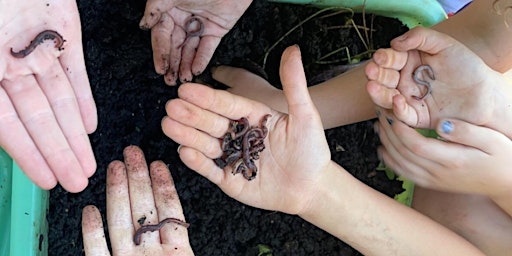 Cultivating Compost in Your Community primary image