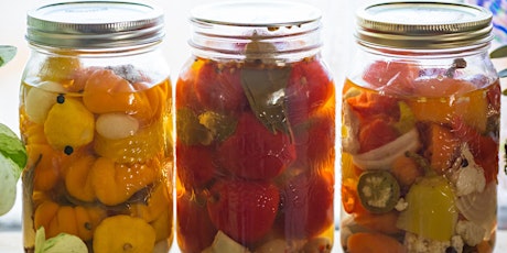 Food Preservation Series