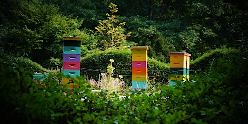 Members-Only Opening Day: Bee Happy at Bedrock Gardens! primary image