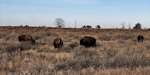 Imagen principal de September History Hike: Rocky Mountain Arsenal