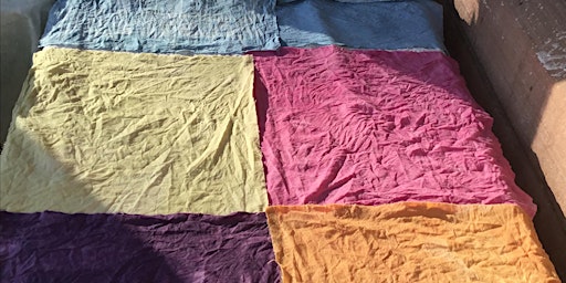 Imagem principal de Introduction to Dyeing with Plant Colour on Cotton and Linen
