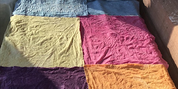 Introduction to Dyeing with Plant Colour on Cotton and Linen