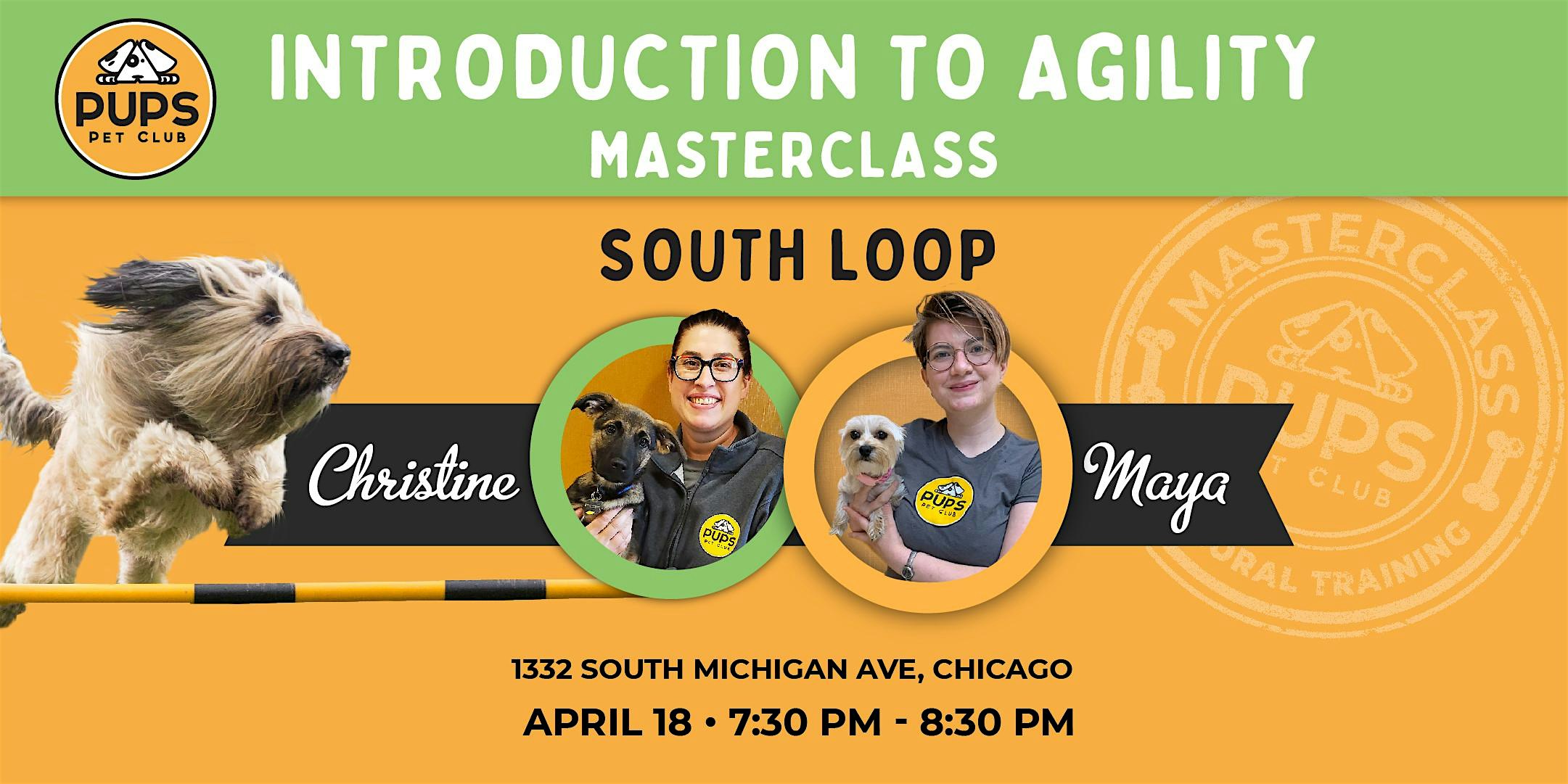 Introduction to Agility for Dogs – SOUTH LOOP 18