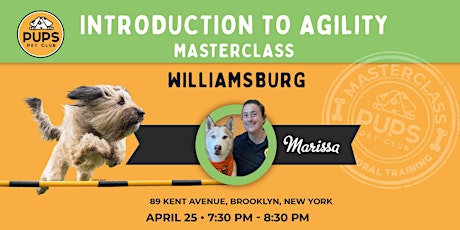 Agility for Dogs - WILLIAMSBURG  25