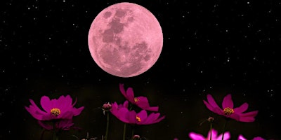 Hauptbild für On a Pink Moon