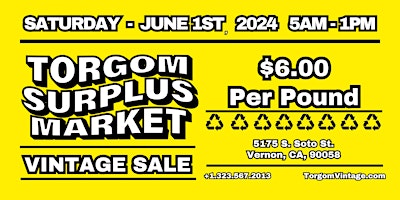 Imagem principal do evento Torgom Surplus Market - June