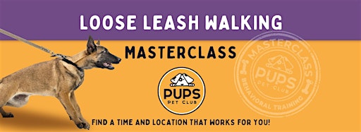 Collection image for Loose Leash Walking Masterclass