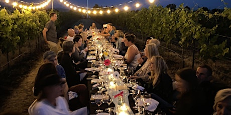 Summer Solstice Dinner in the Vineyard