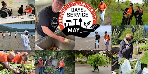 OSU Day of Service | Tualatin Elementary Sustainable Garden primary image